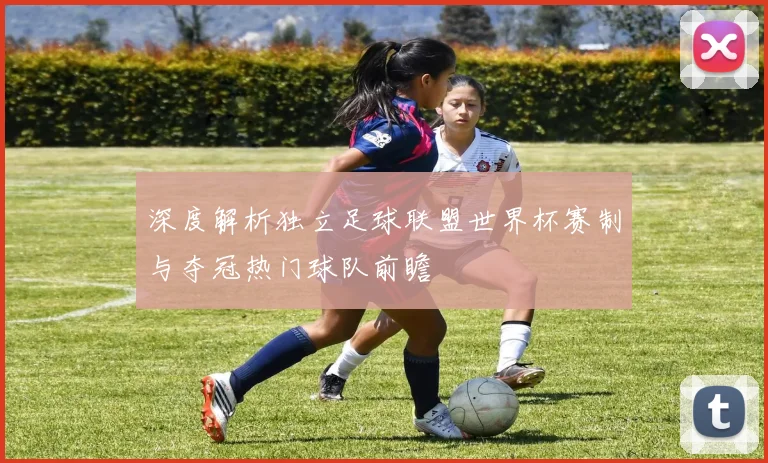 深度解析独立足球联盟世界杯赛制与夺冠热门球队前瞻