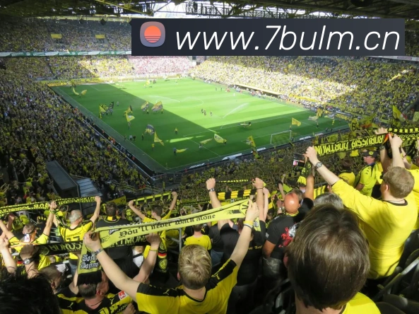 乐鱼体育官方登录平台生态图